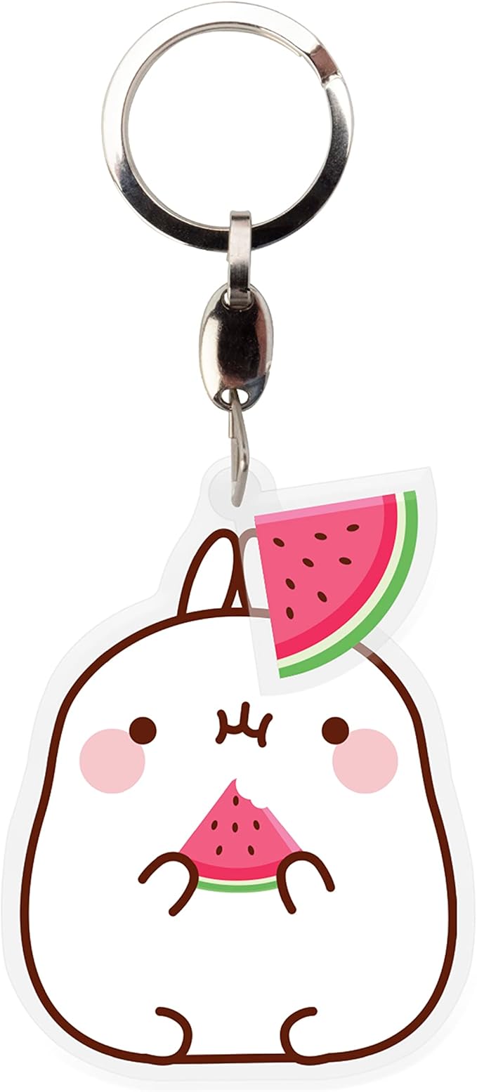 Series Keychains