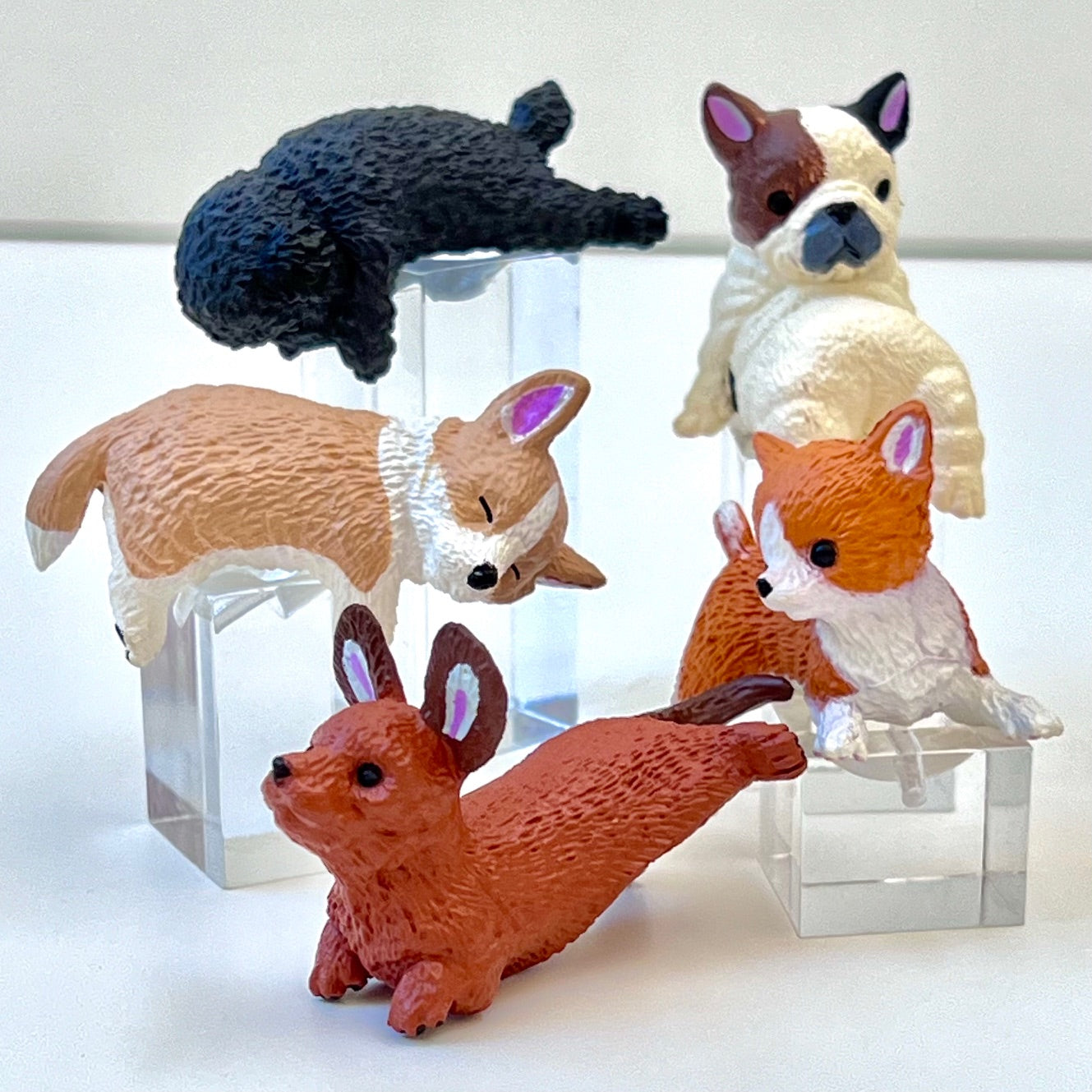 Playful Hanging Dogs Blind Box