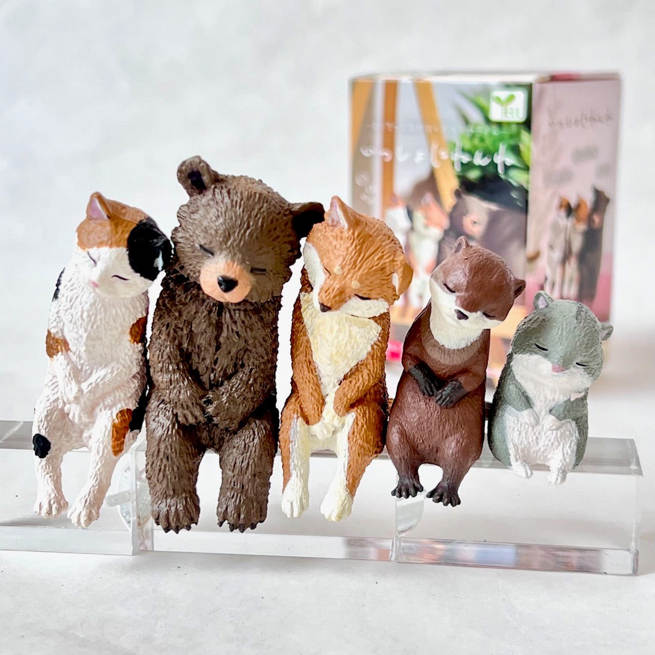 Sleepy Animals Blind Box
