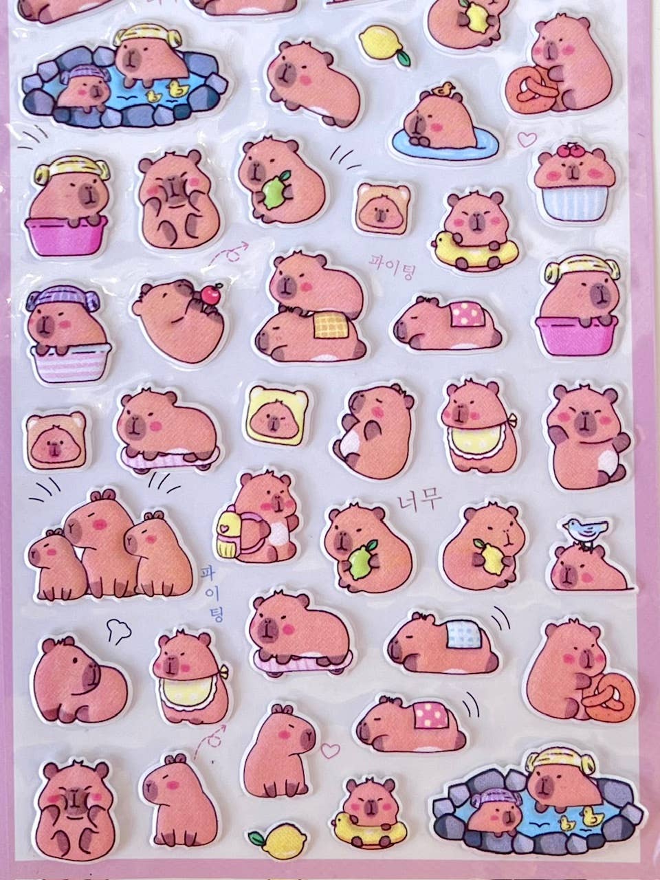 Capybara Vol.6 Stickers