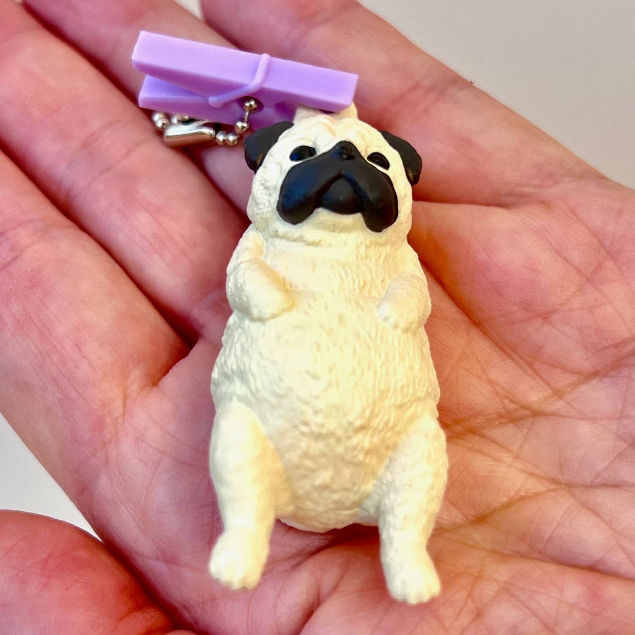 Out to Dry Clothesline Animals Blind Box