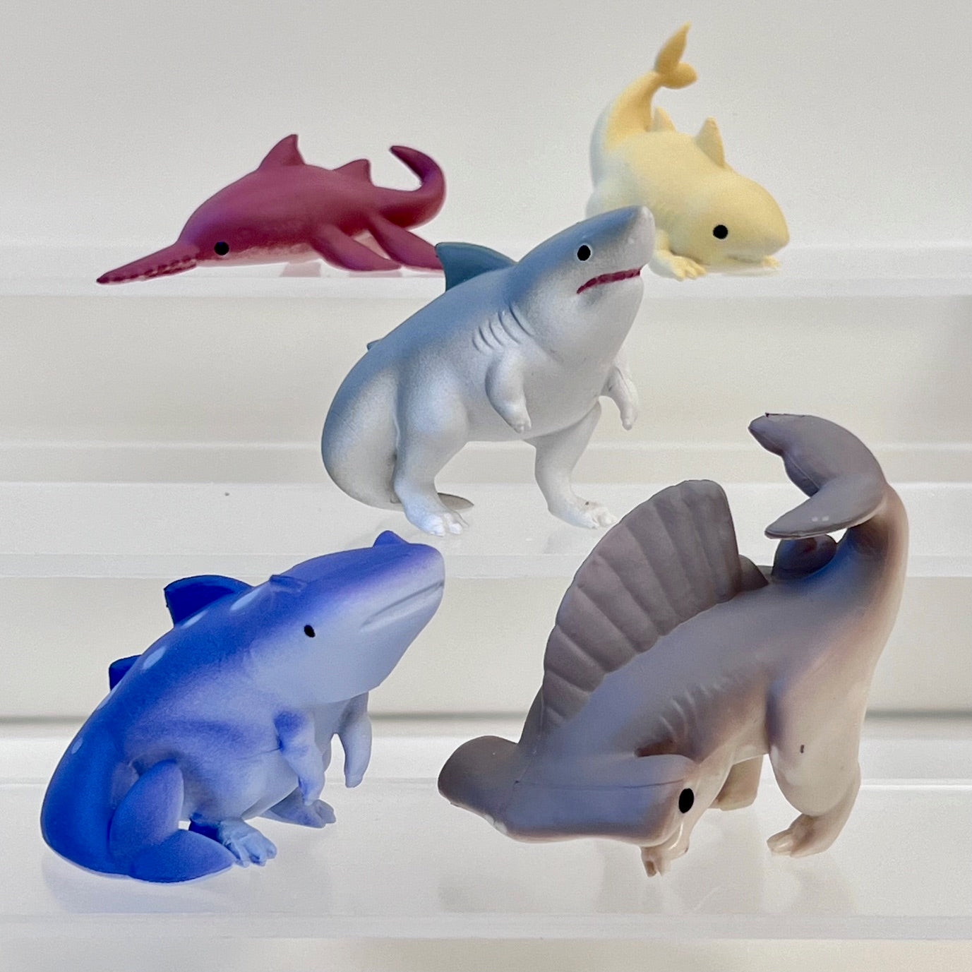 Jurassic Shark Blind Box