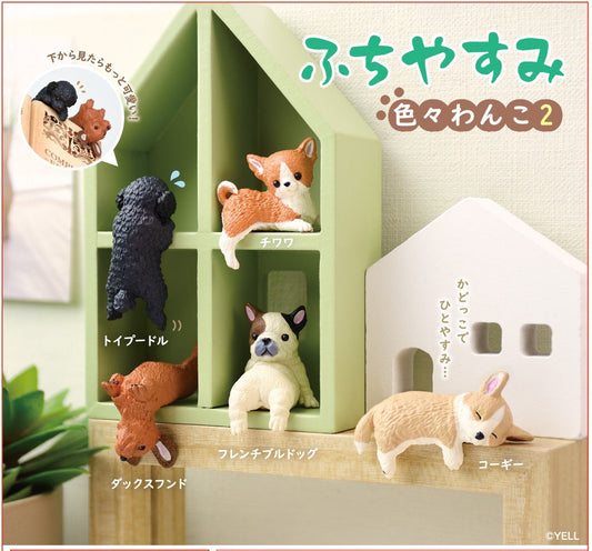 Playful Hanging Dogs Blind Box