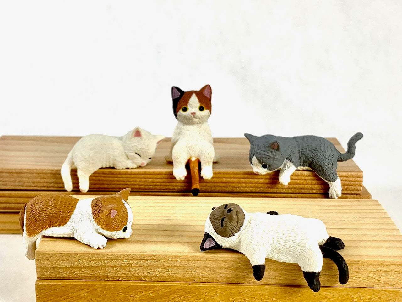 Playful Hanging Cat Blind Box