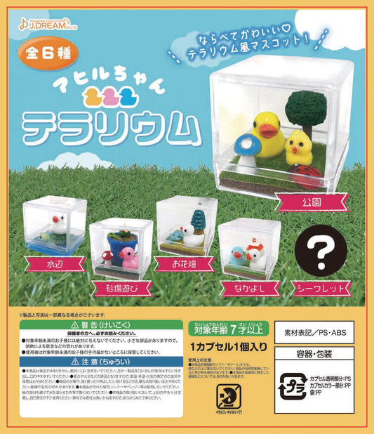 Little Duckie Terrarium Collectible Capsule