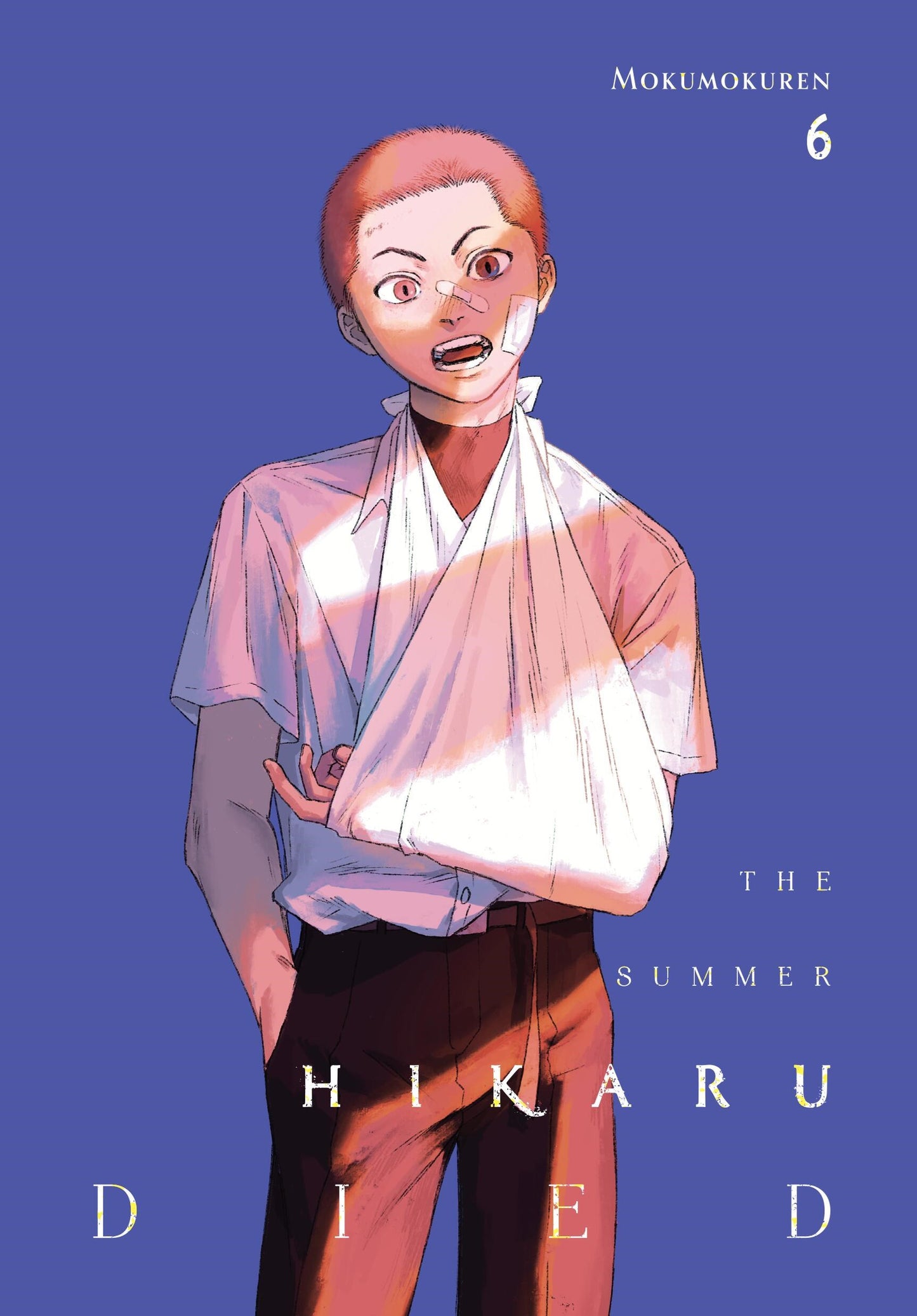 The Summer Hikaru Died, Vol. 06